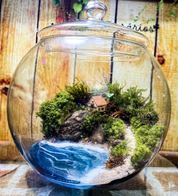 Kit Terrario Realista - Mel Coelho ( Amo Terrários) - Image 6