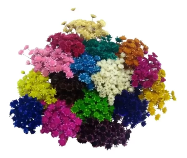 Flor Seca (Sempre Viva)